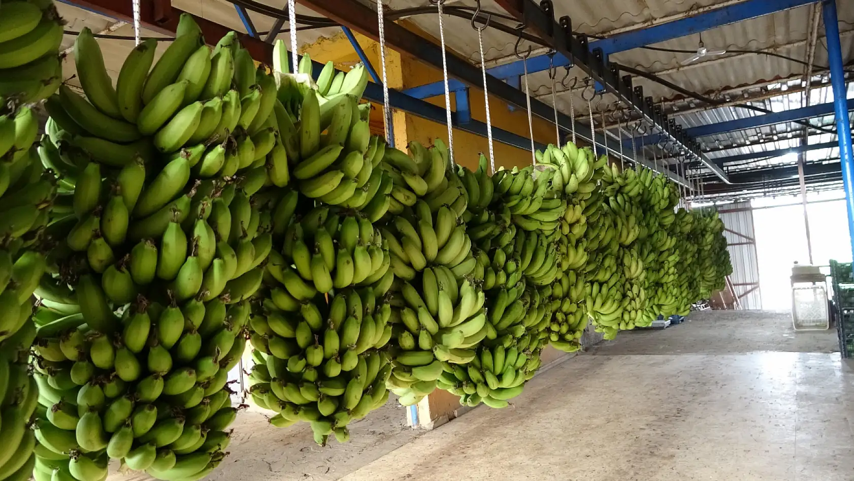 Aralık ayı hal endeksi açıklandı: 'Meyvede fiyat arttı, sebzede geriledi'