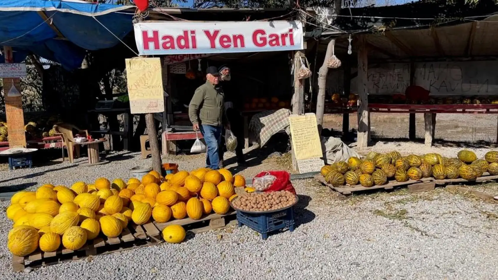 'Araştırmacı kavuncu dede' ata tohumlarını geleceğe taşıyor