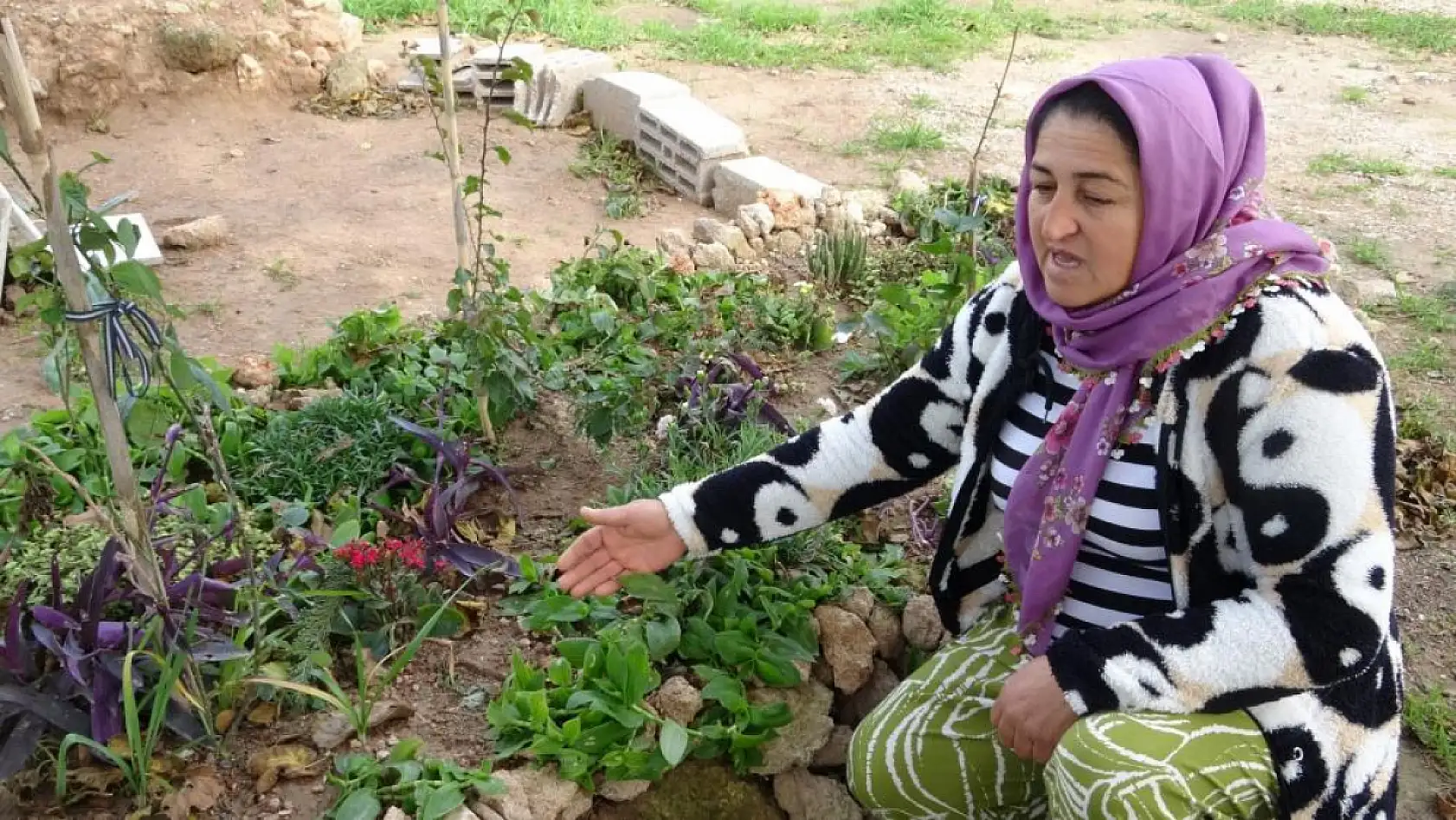 Babasının mezarındaki çiçekleri söküp uyuşturucu sakladılar
