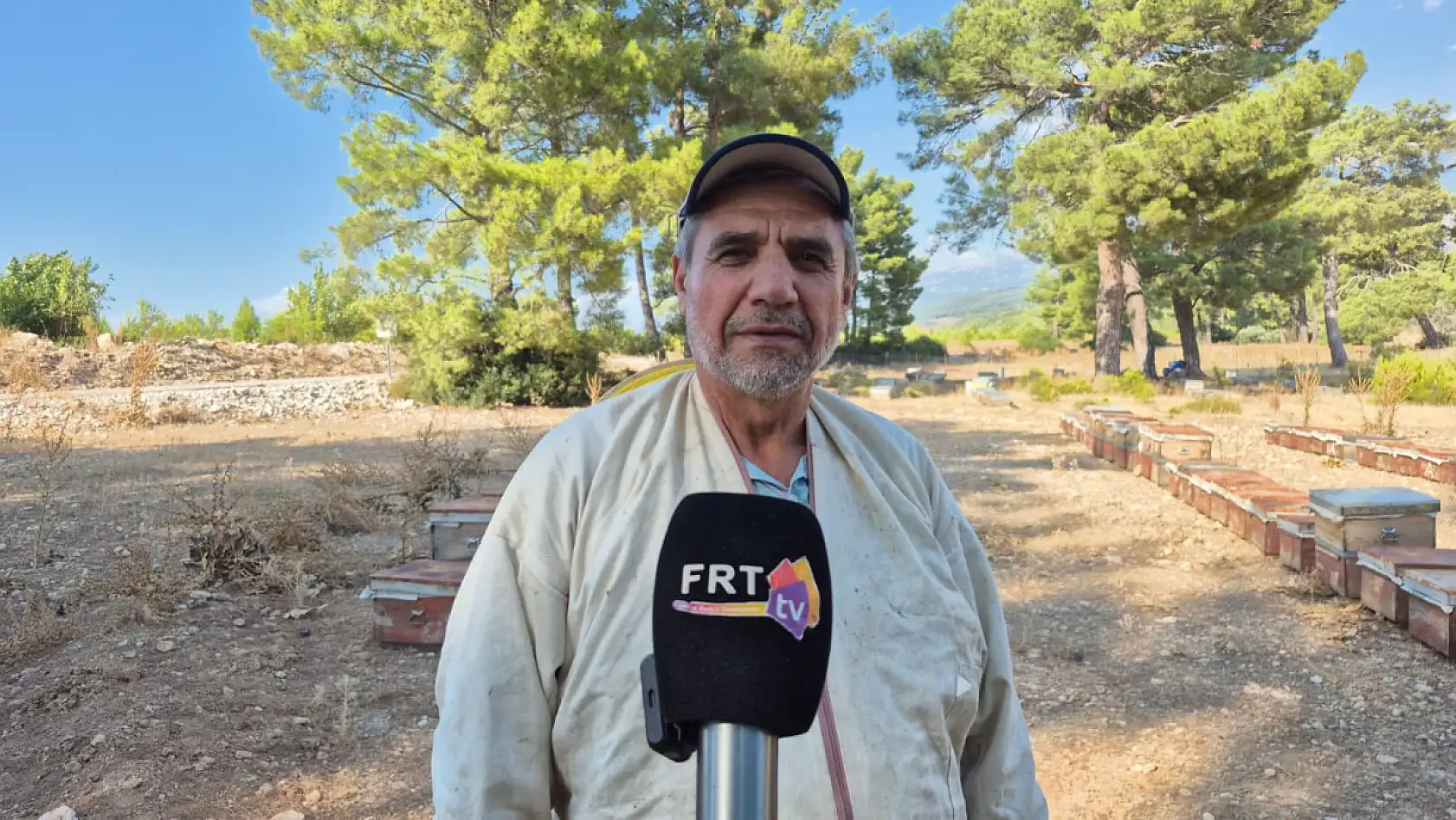 Seydikemer'de Çam Balının Sırrını Emekli Arıcı Anlattı