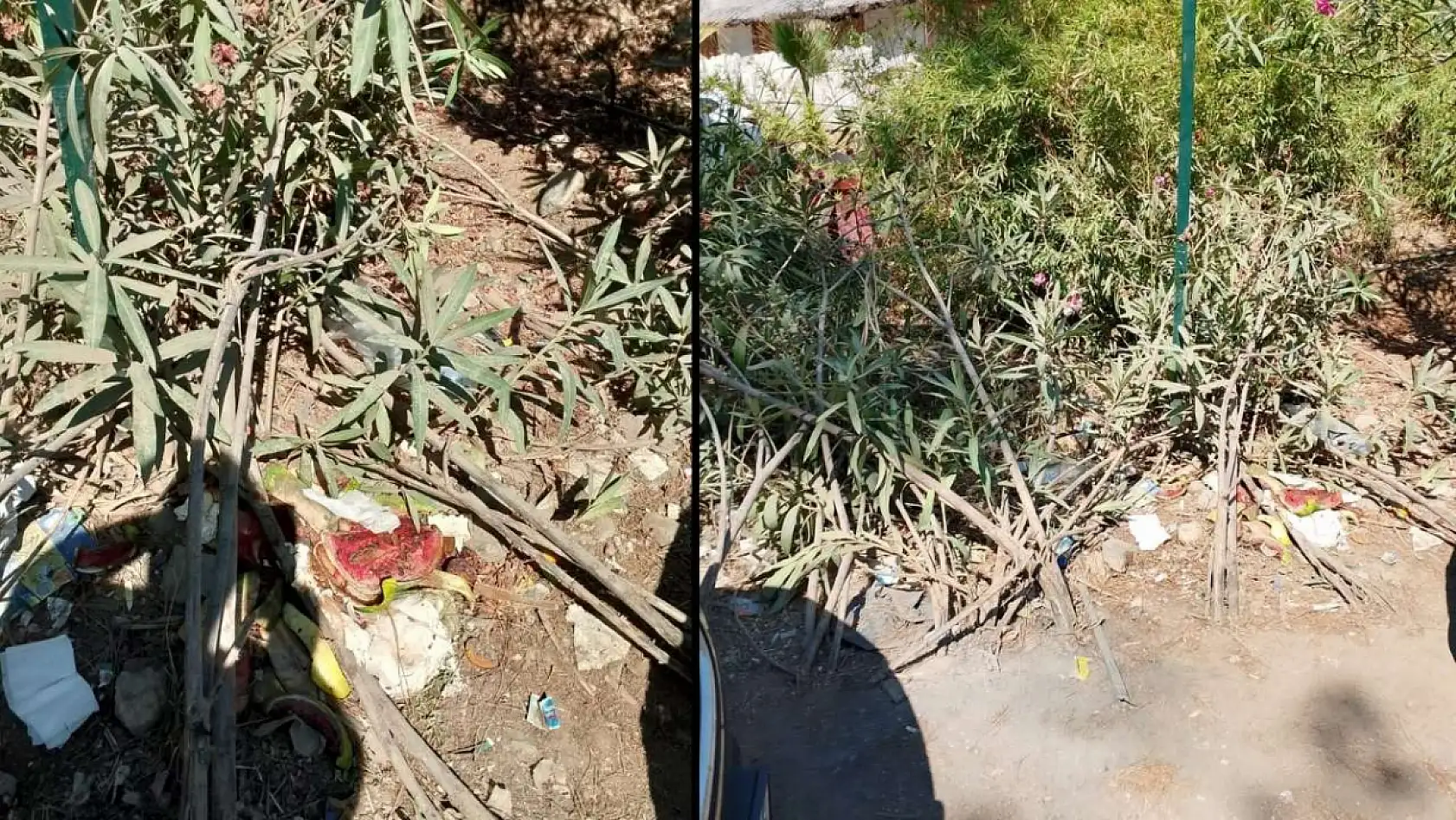 Fethiye Yarımada'da Çevre Kirliliğine Belediye Ekiplerinden Müdahale