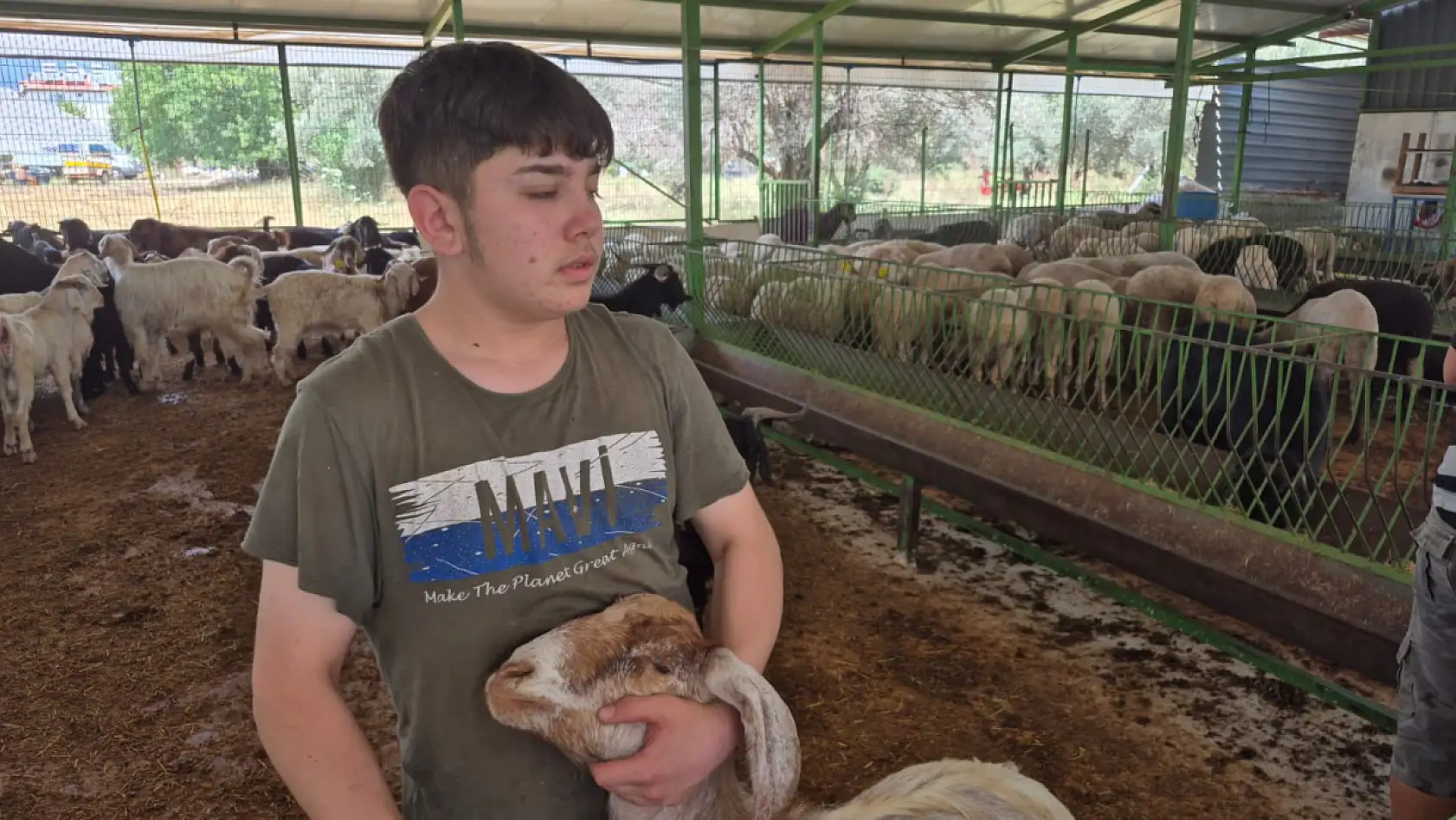 Fethiye'de kurbanlık satışları hız kazandı