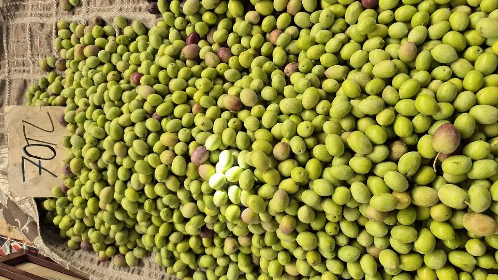 Fethiye'de Cuma Pazarı: Fileler hafif, yük ağır