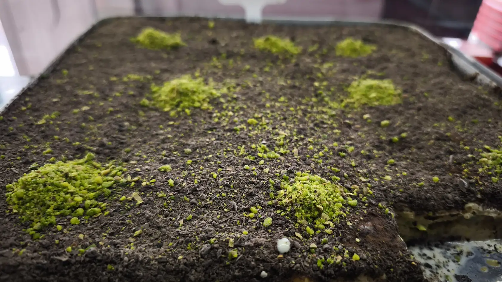 Fethiye Anteplioğlu Tatlı Dünyası'ndan bayrama özel indirim kampanyası