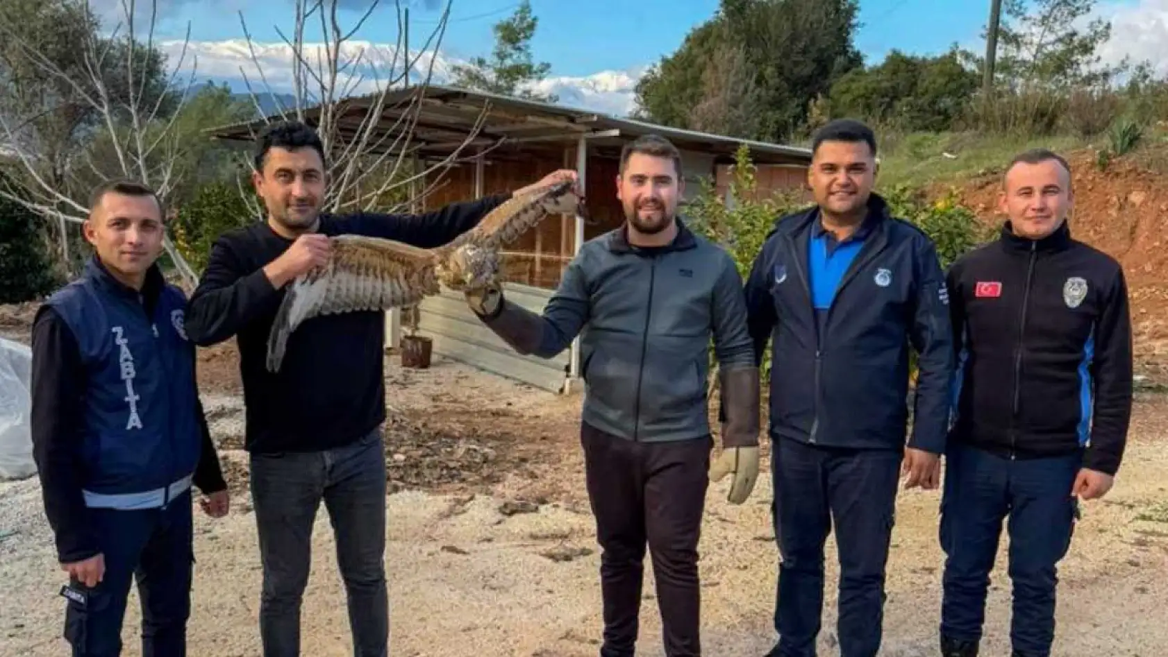 Yaralı atmaca tedavisi sonrası doğaya bırakıldı