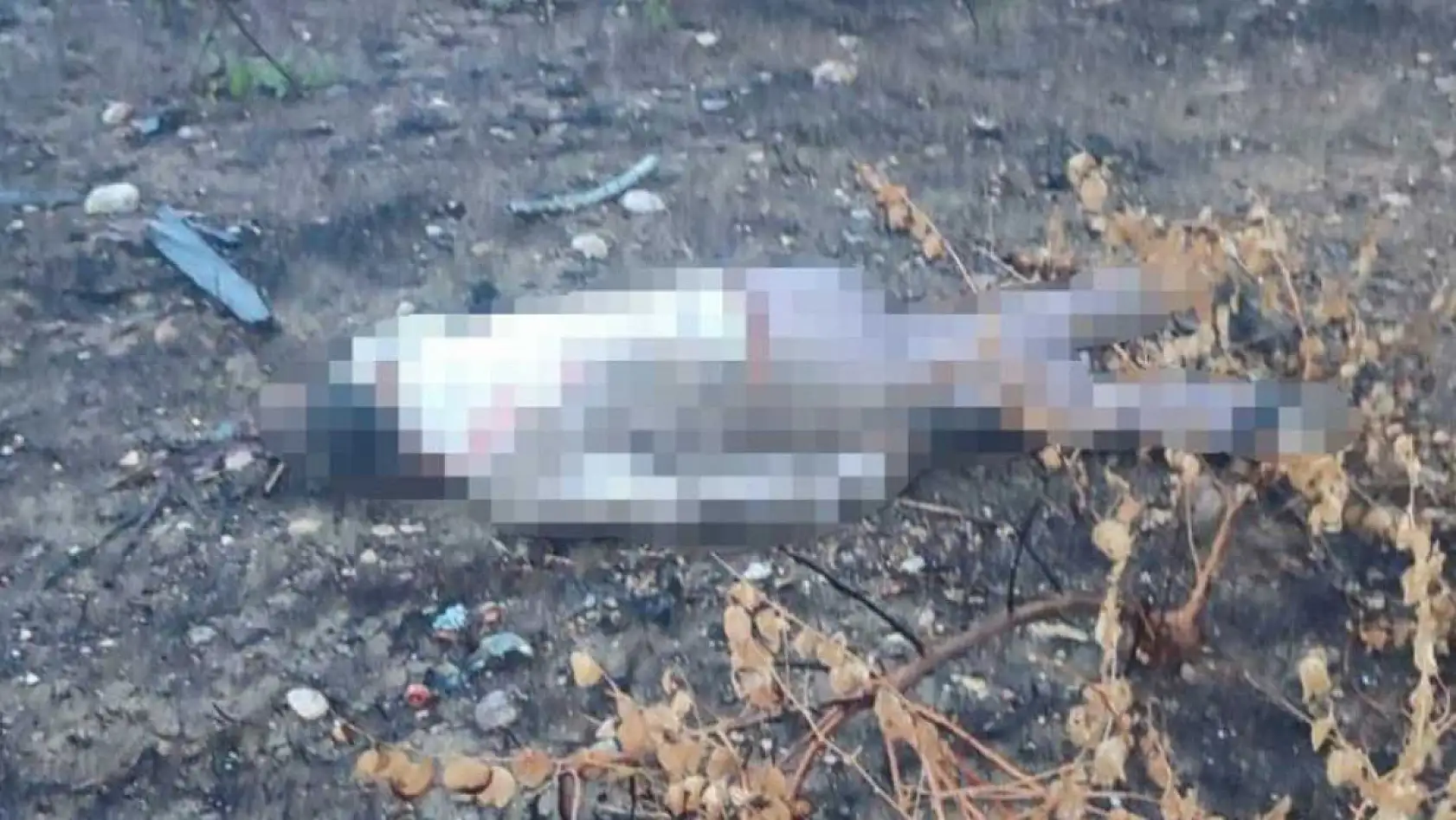 Otoyolda Feci Kaza: Sürücü 30 Metre Aşağıda Ölü Bulundu