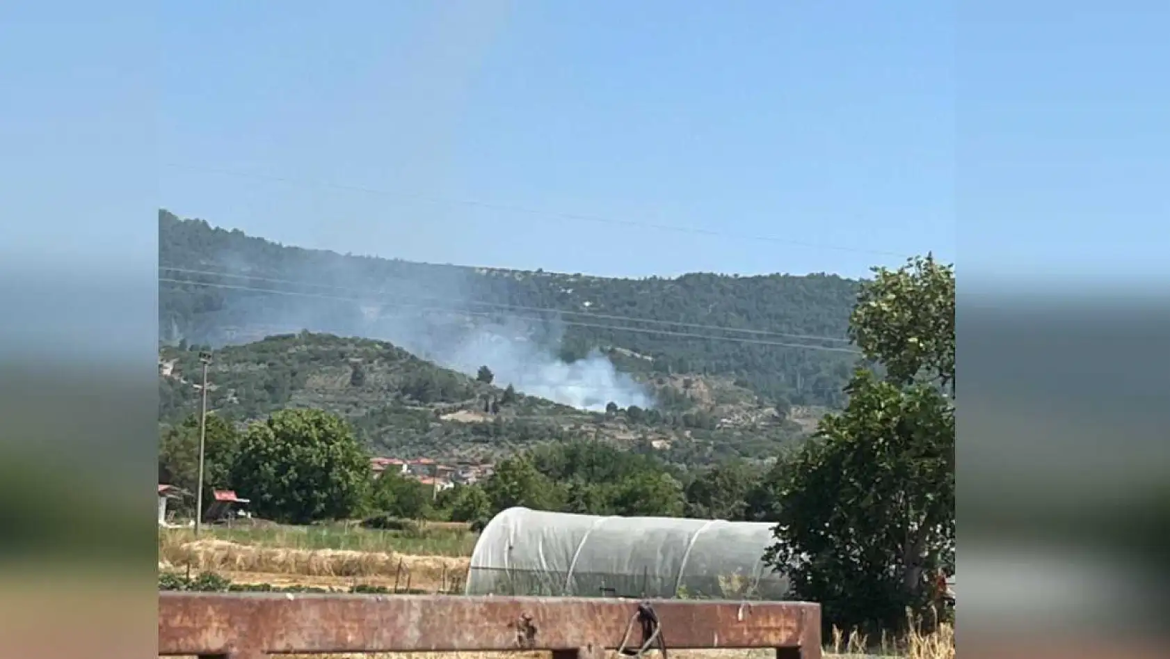 Menteşe'de zeytinlik alanda korkutan yangın