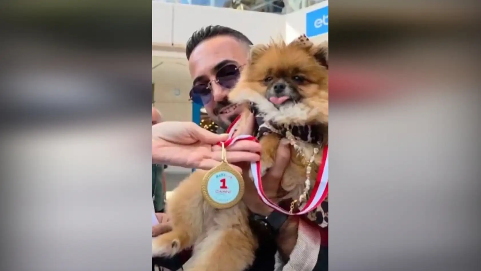 Güzellik yarışmasında birinci seçilip kaybolan köpek bulundu, sahipleri sevince boğuldu