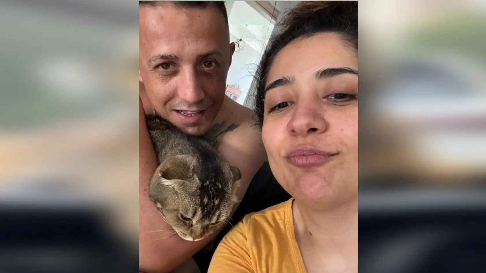 Kayıp kedi bulunmazsa kocası boşayacak