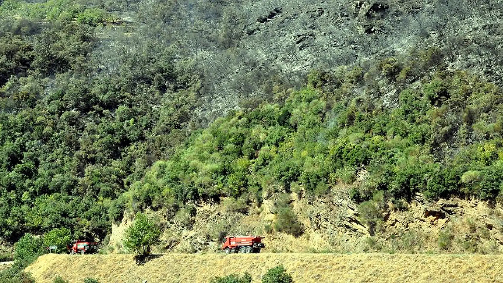 2B hak sahiplerine yeni müjde: Fethiye'yi de kapsayan düzenleme Meclis'ten geçti