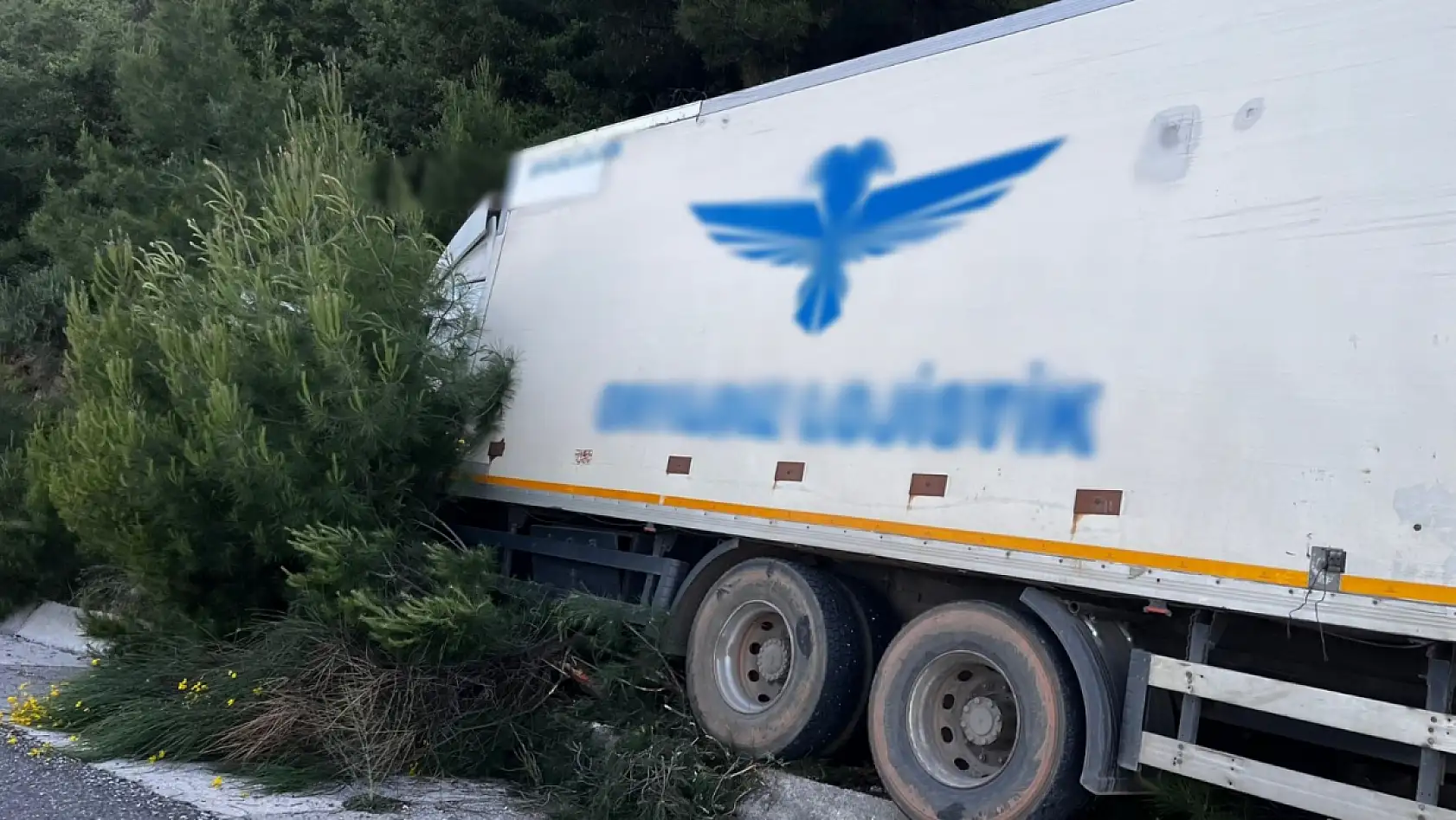 Muğla'da kaza! Kamyonun freni patladı, hâkimiyetini kaybedip yoldan çıktı