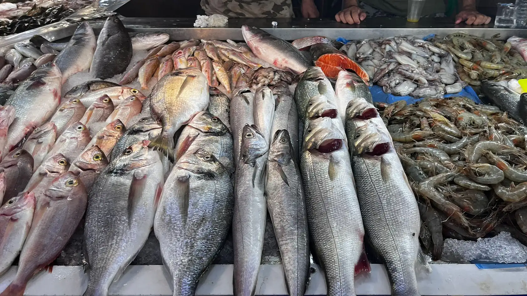 Fethiye'de balık fiyatları Bodrum ve Marmaris'ten uygun 