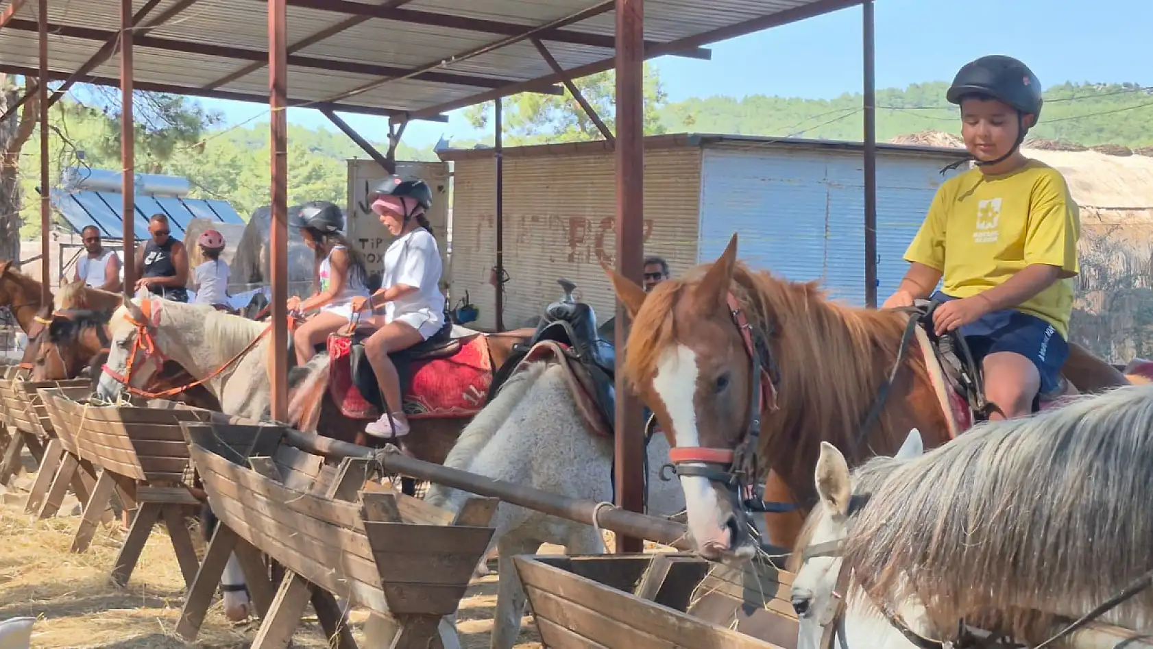 Fethiye'de atlarla doğa turu: 'Atların insan üzerinde çok büyük bir etkisi var'