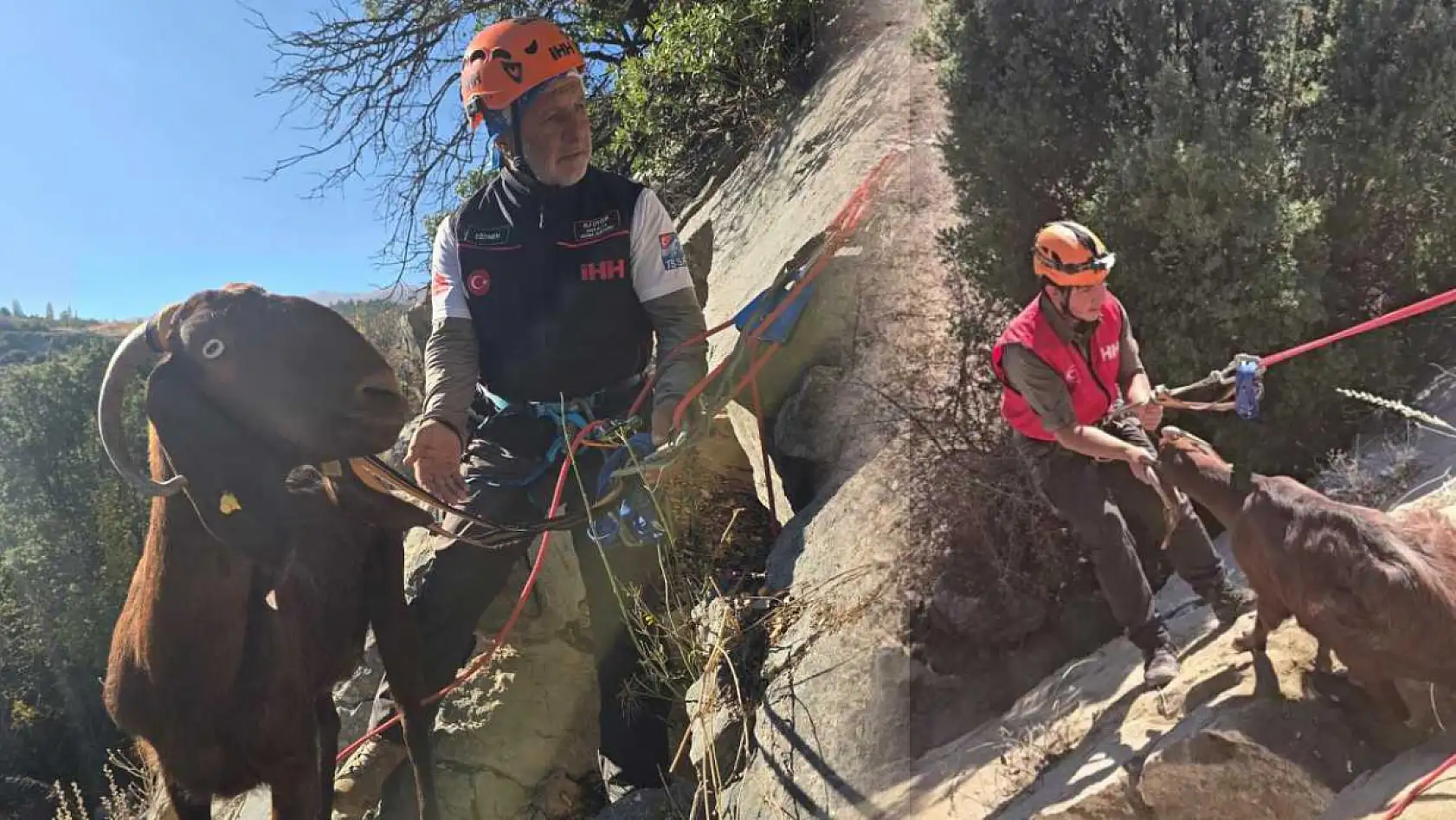 Kaya oyuğuna düşen ve 3 gün mahsur kalan keçi, film gibi operasyonla kurtarıldı