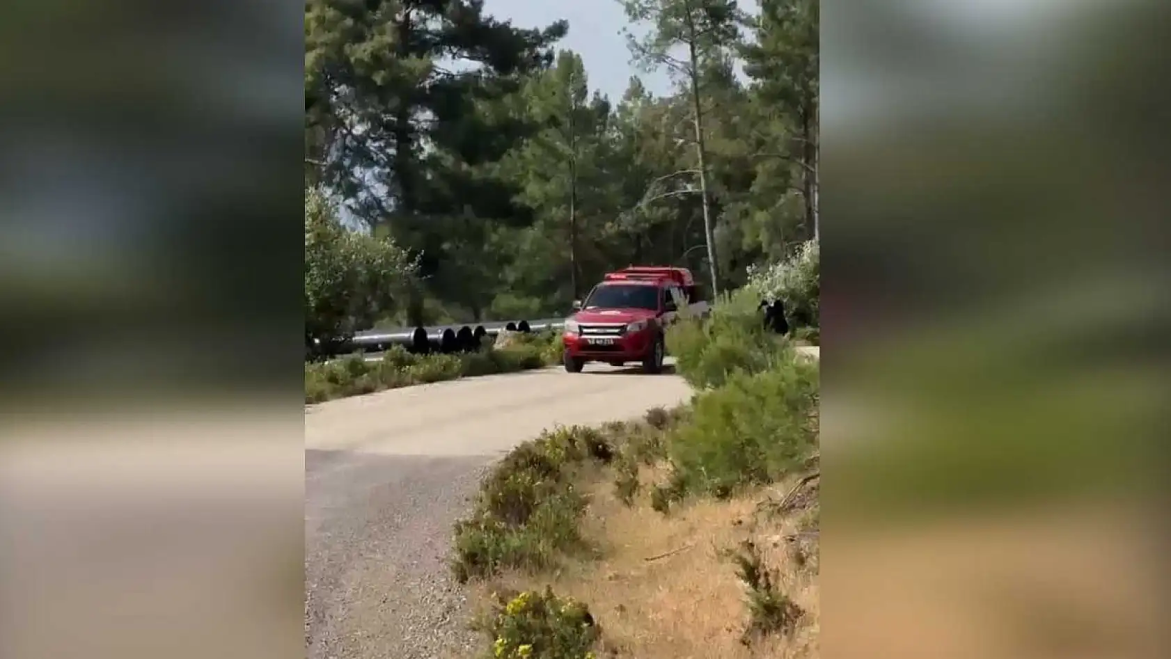 Muğla'da Orman Yangını Uyarısı: 'Yeşil Vatan İçin Hep Birlikte Duyarlı Olalım'
