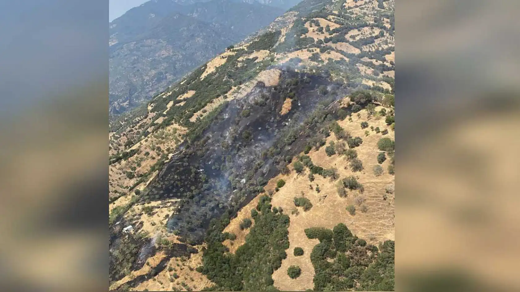 Kayınpeder öfkesi 3 hektarı küle çevirdi