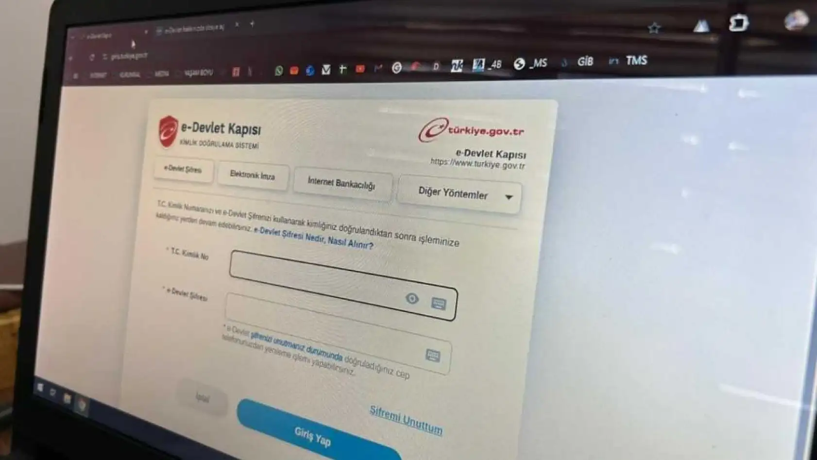 Bilişim uzmanı uyardı: E-Devlet'in kopyalarıyla dolandırıcılığa dikkat