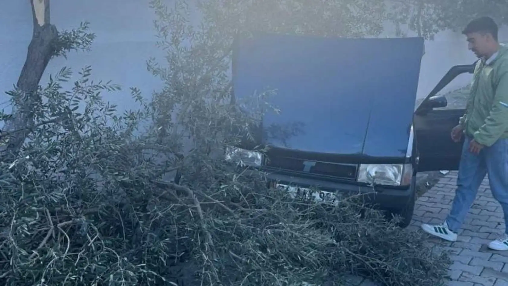 Süratli otomobil önce ağaca sonra duvara çarptı