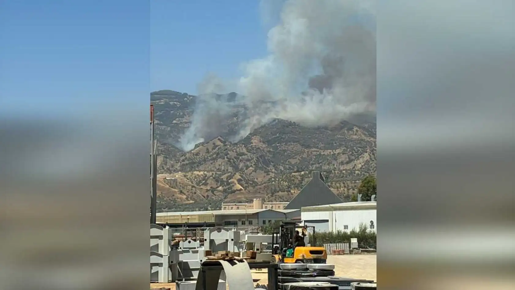 Aydın'da orman yangını