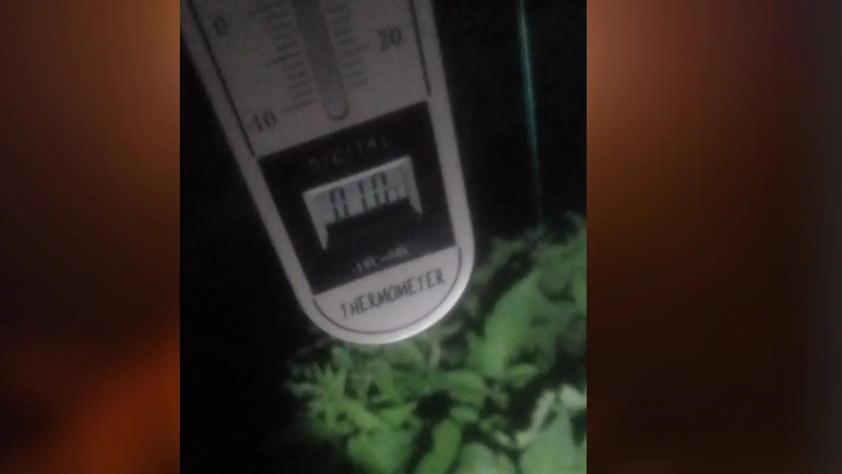 Fethiye'de seralarda don nöbeti: Çiftçiler soğukla mücadele ediyor