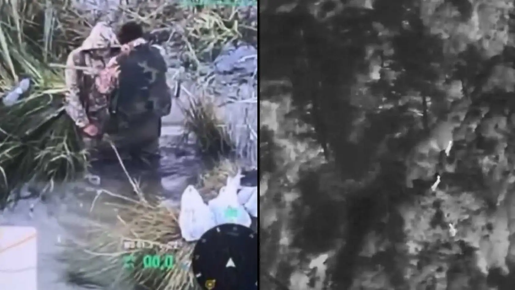 Muğla'da yaban hayatına 'dron' kalkanı