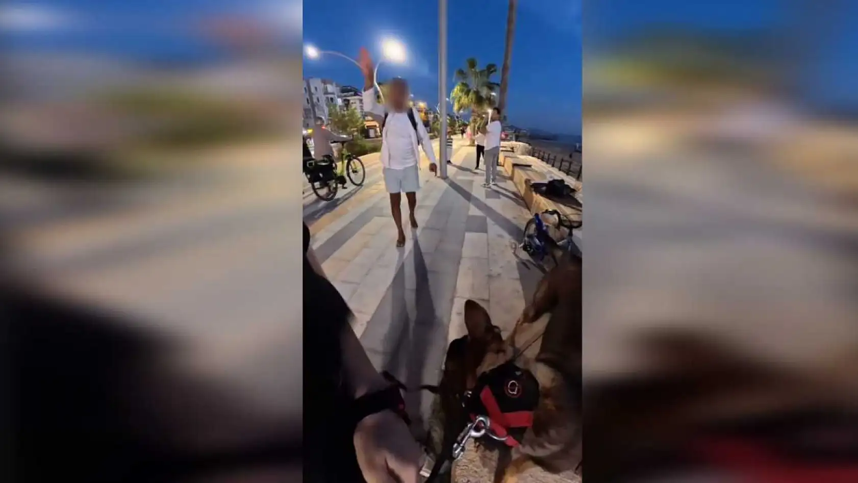 Bankta köpeğiyle oturan yerleşik yabancı kız çocuğu hayatının şokunu yaşadı