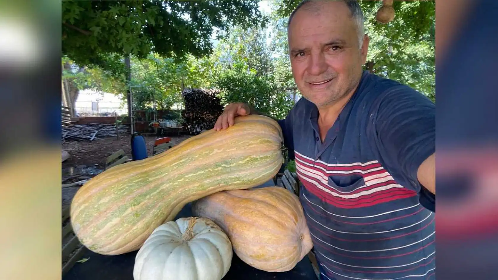 Fethiyeli Üreticinin Yetiştirdiği Dev Kabak Görenleri Şaşırttı