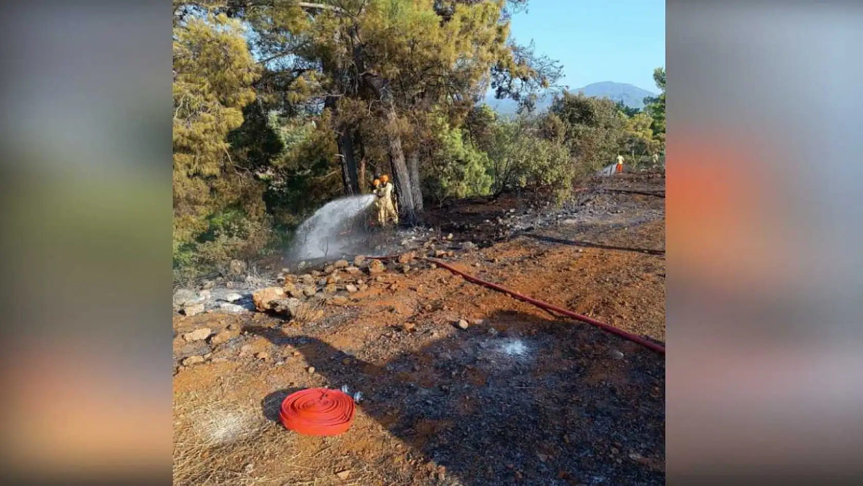 Köyceğiz'de enerji nakil hattına çarpan kuş yangına neden oldu