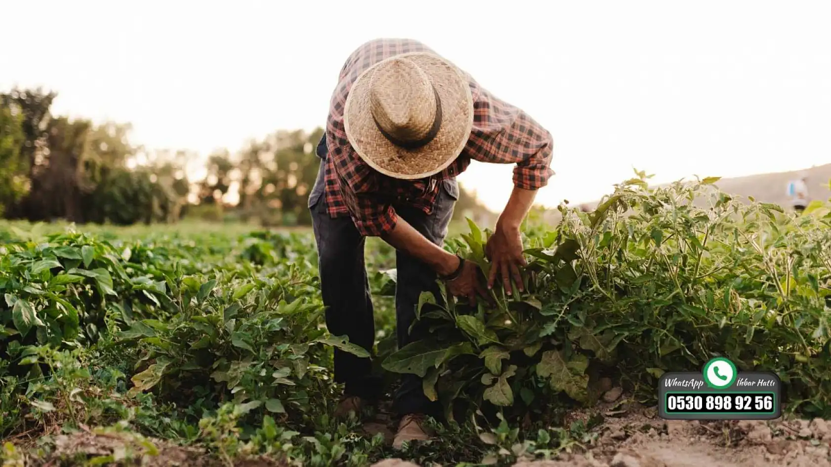Başkan Karayiğit'ten ÇKS ve TÜİK uyarısı 'Ankete katılmayan çiftçilere büyük ceza'
