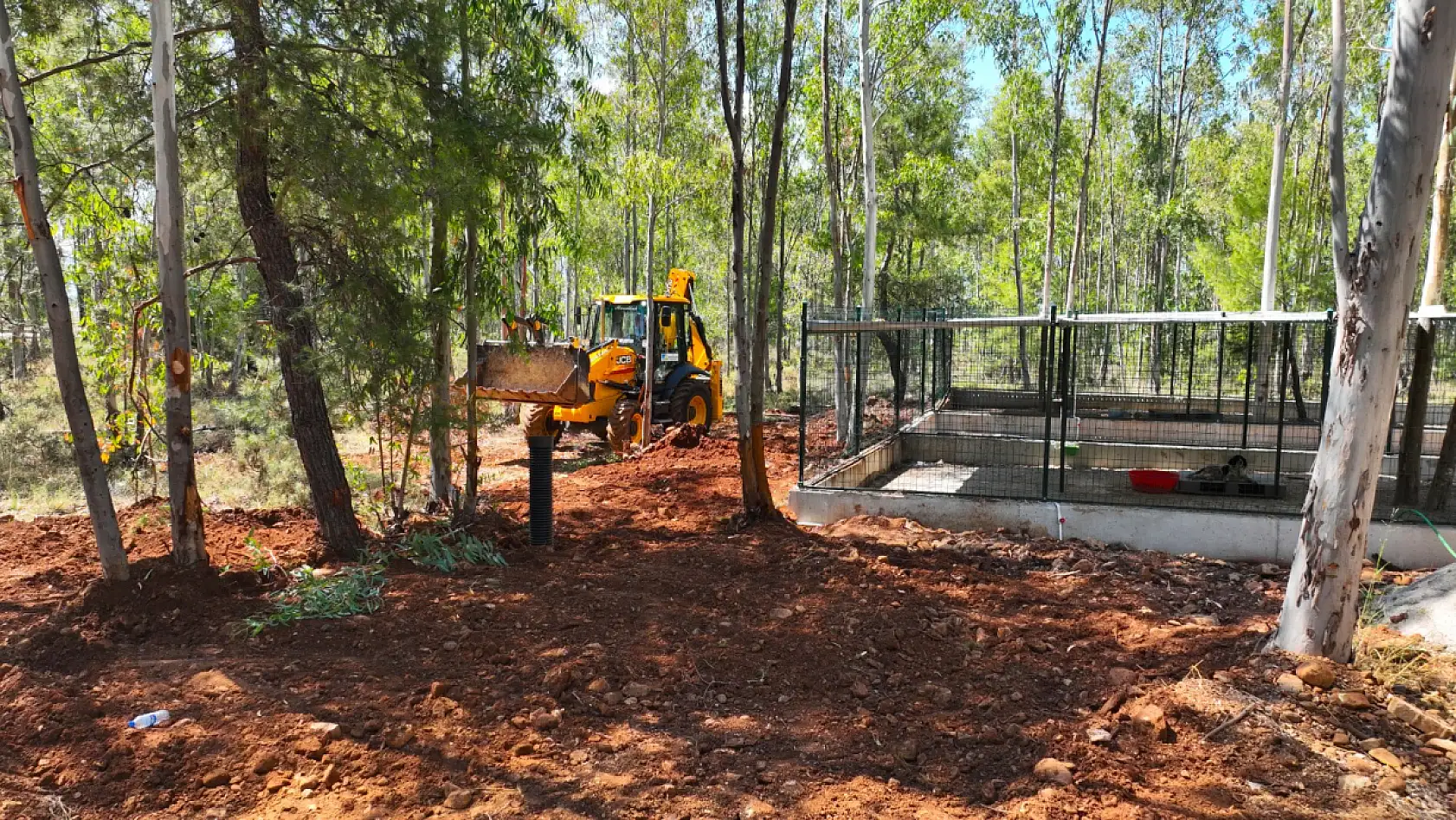 Fethiye Hayvan Bakımevi'nde çalışmalar hızla ilerliyor