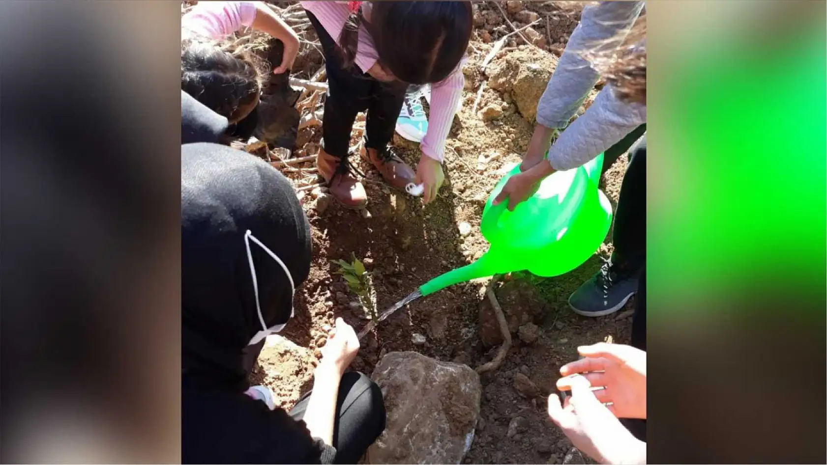 Köyceğiz'de fidanlar toprakla buluşacak