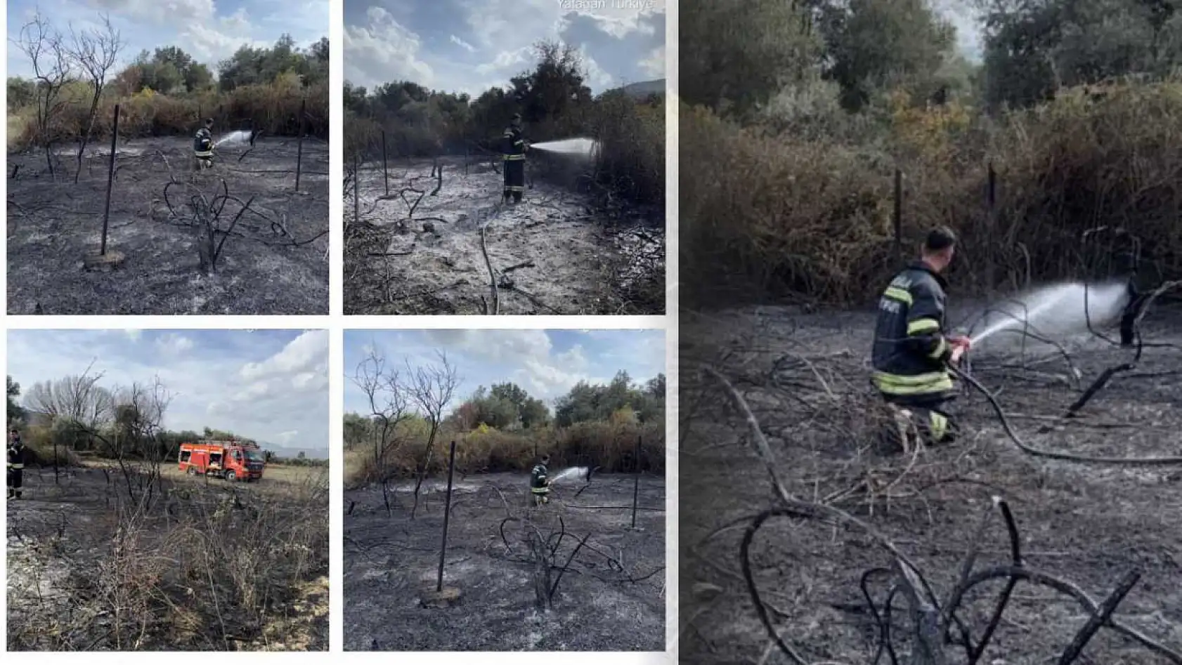 Muğla'da üzüm bağları alevlere teslim oldu