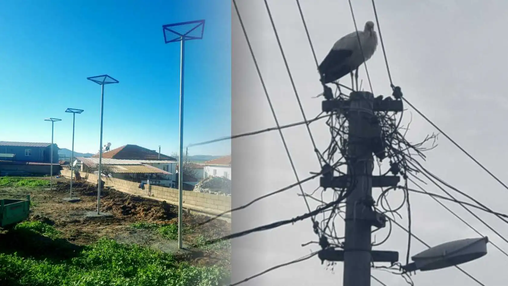 Muğla Büyükşehir'den Leylekler İçin Güvenli Yuva