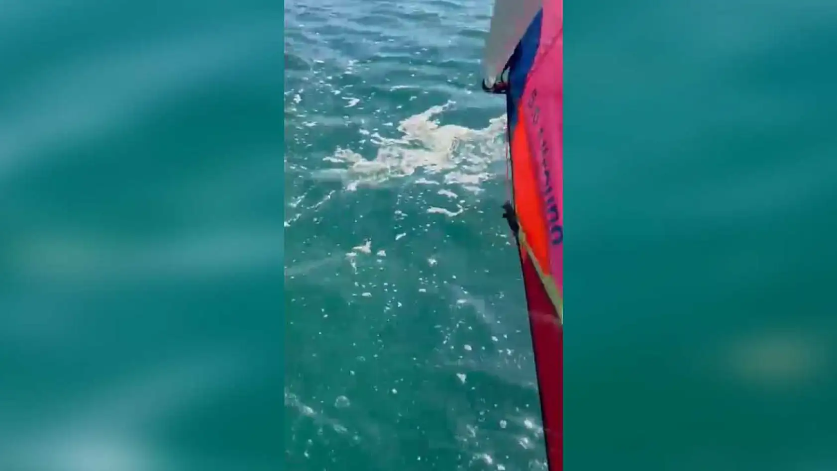 Fethiye Çalış Plajı'nda deniz kirliliği dikkat çekti