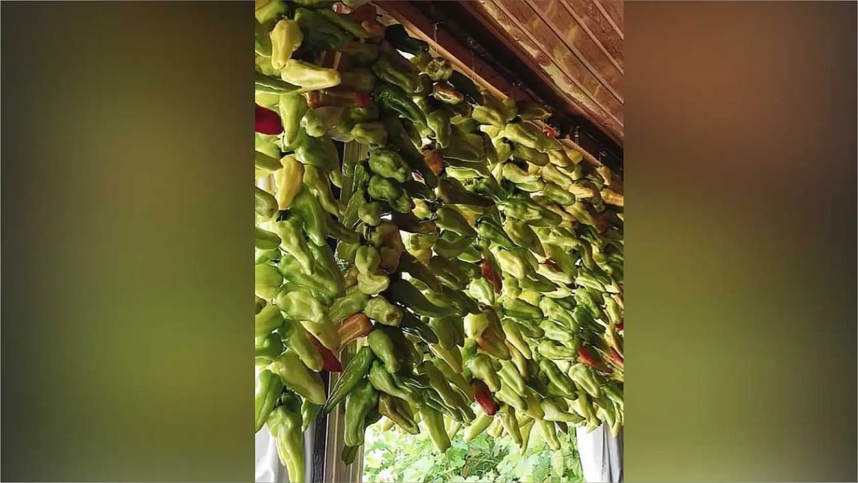 Muğla'da kış hazırlığı renkli görüntüler oluşturdu