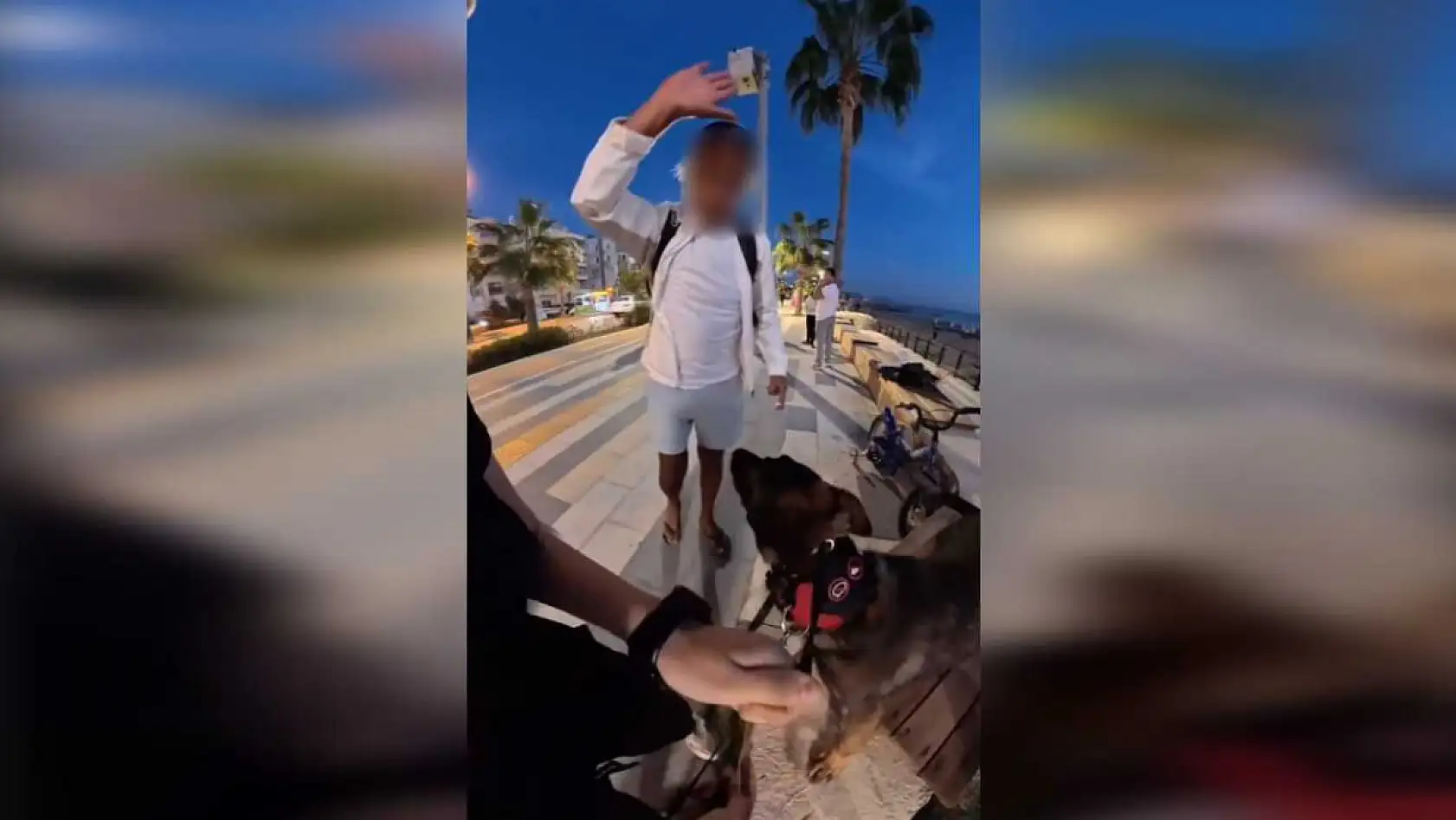 Bankta köpeğiyle oturan yerleşik yabancı kız çocuğu hayatının şokunu yaşadı