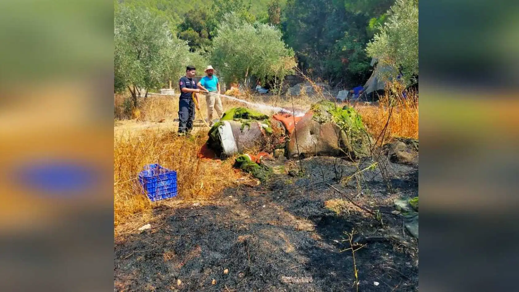 Antalya Kumluca'da Zeytin Bahçesi Kül Oldu