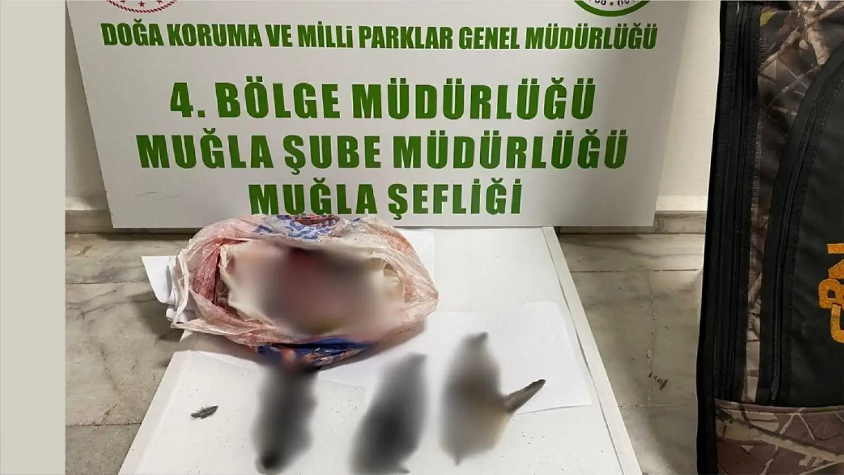 Muğla'da Yasa Dışı Avcılık Denetimleri Devam Ediyor