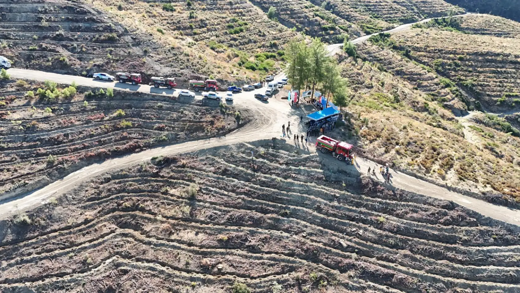 Seydikemer' de 3 Bin Fidan Toprakla Buluştu