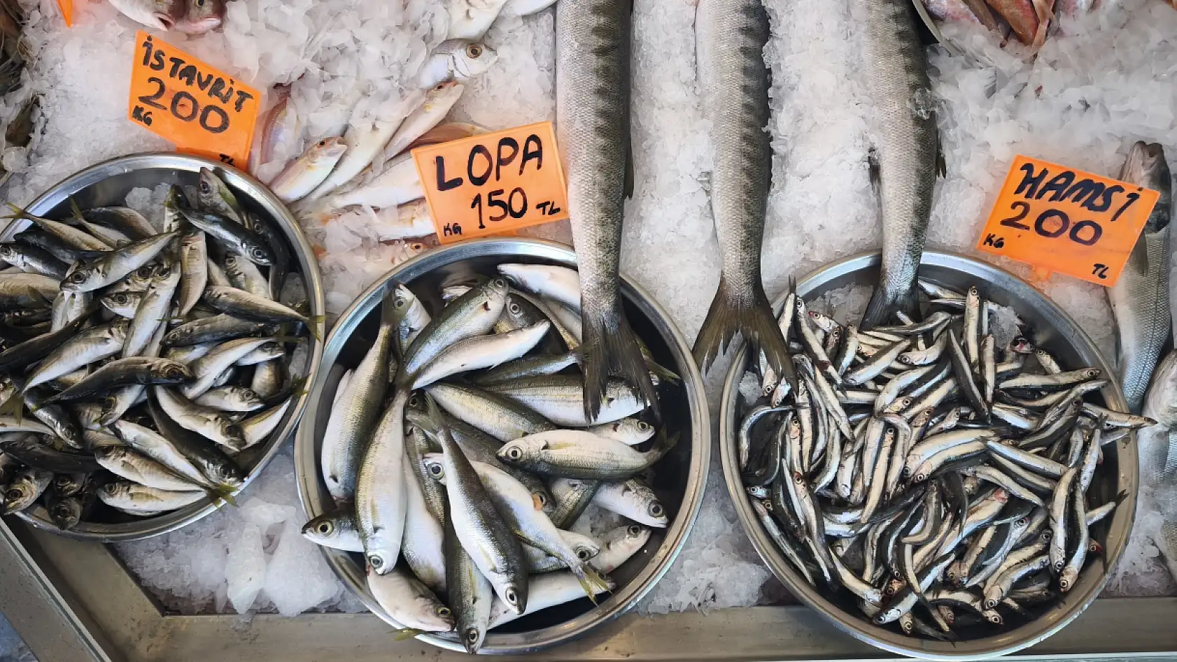 Doğan Seafood Balık Market Taze ve Uygun Fiyatlı Deniz Ürünleri Fethiye'de