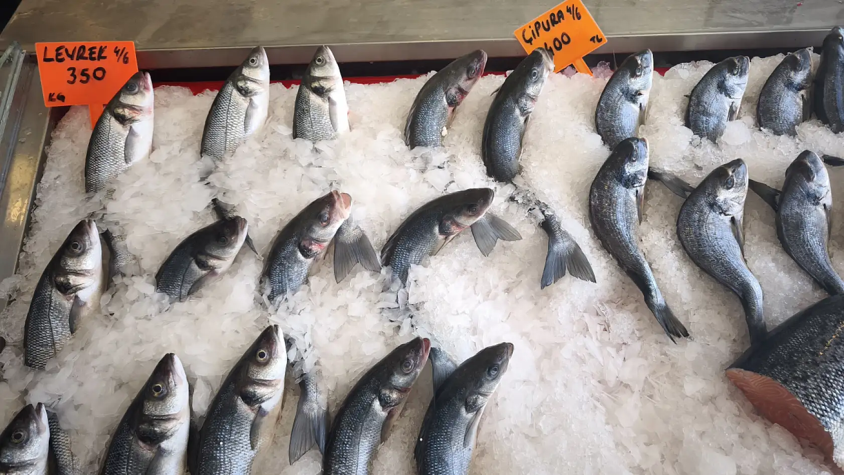 Doğan Seafood Balık Market Taze ve Uygun Fiyatlı Deniz Ürünleri Fethiye'de
