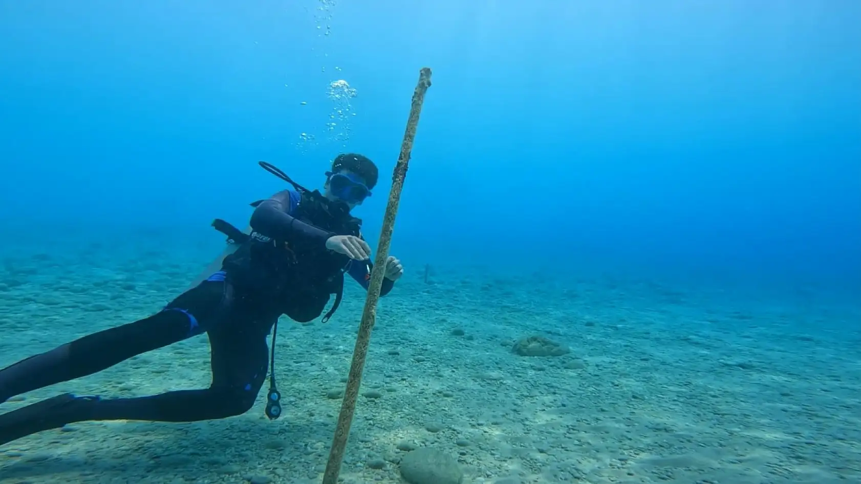 Fethiye Ölüdeniz Kumburnu Plajı'ndan Dünya Çevre Günü'ne anlamlı destek