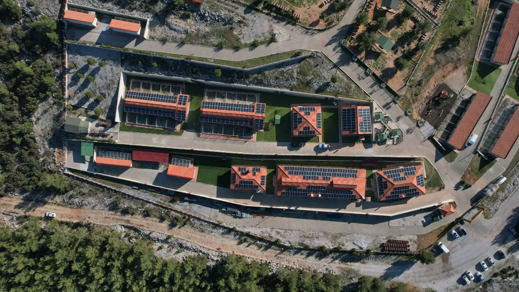 Büyükşehir Geçici Hayvan Bakımevi'nden 3 Bin 779 Can Dosta Yeni Yuva