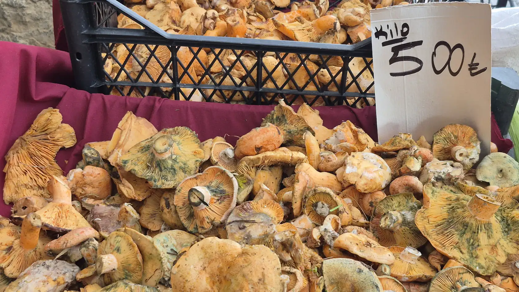 Fethiye'de Çıntar Mantarı Tezgahlarda Yerini Aldı