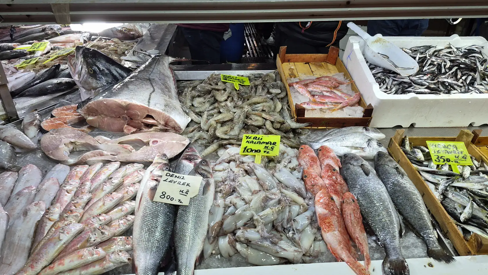 Fethiye Balık Pazarı'nda güncel balık fiyatları