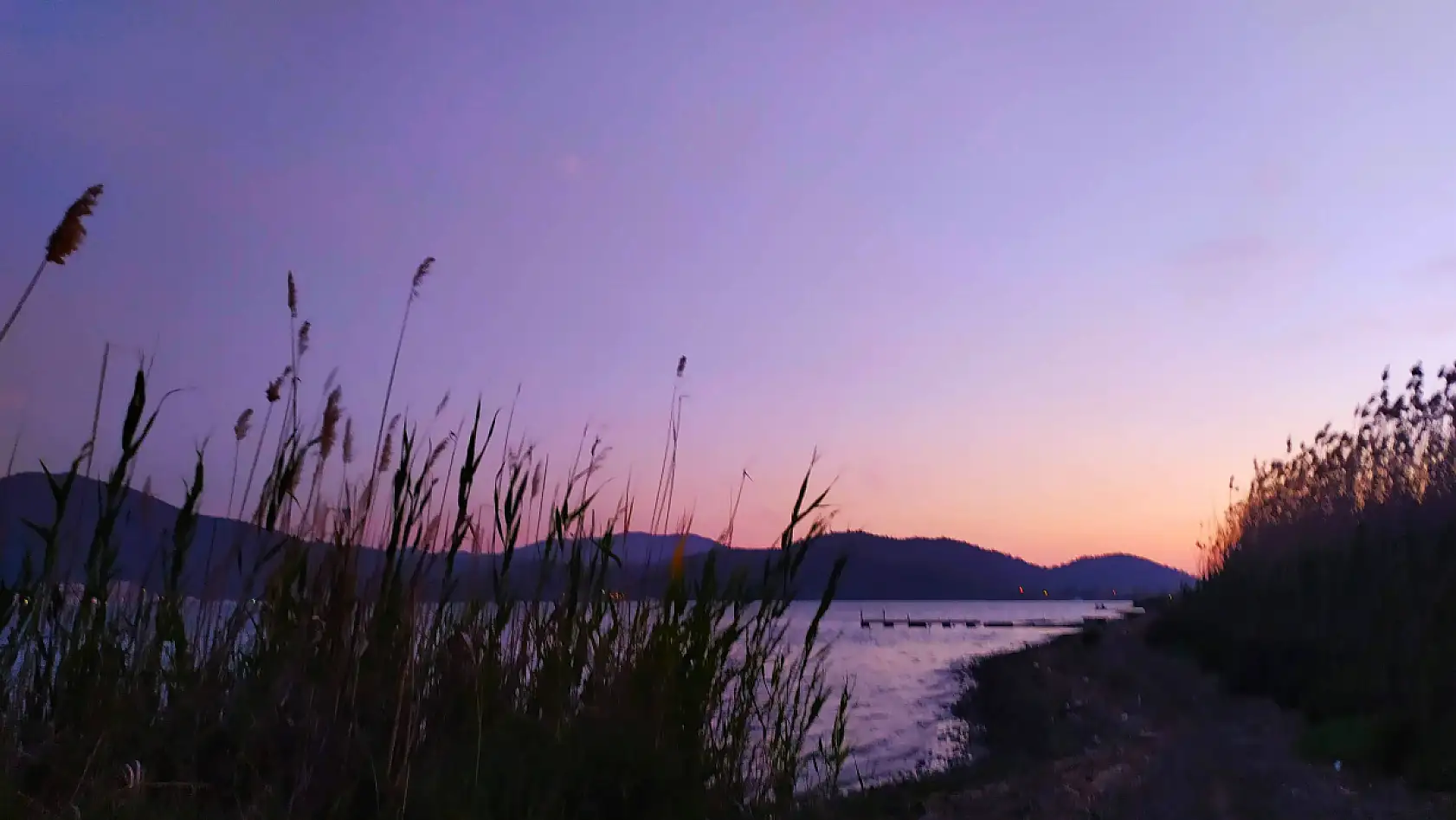 Fethiye Babadağ'ın Eteklerindeki Gizemli Bitki Dünyası: Çakal Nergisinden Sığla Ağacına Biyolojik Çeşitlilik