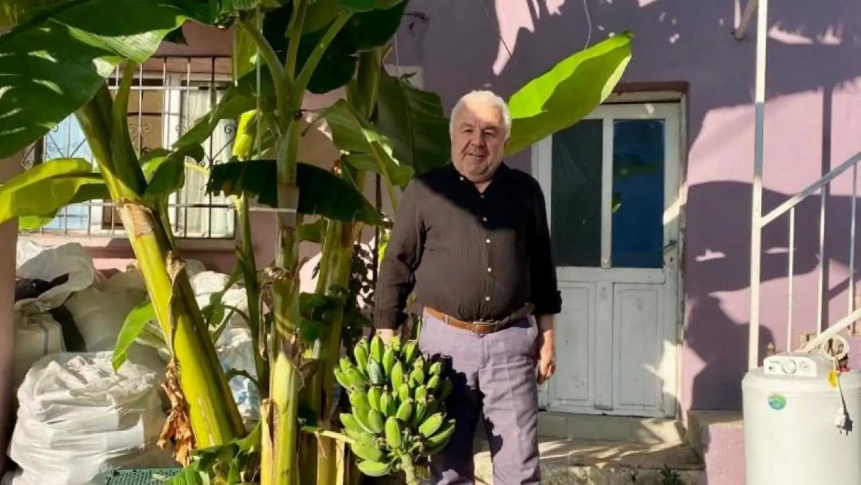 İnat etti, 70 rakımda muz hasadı yaptı