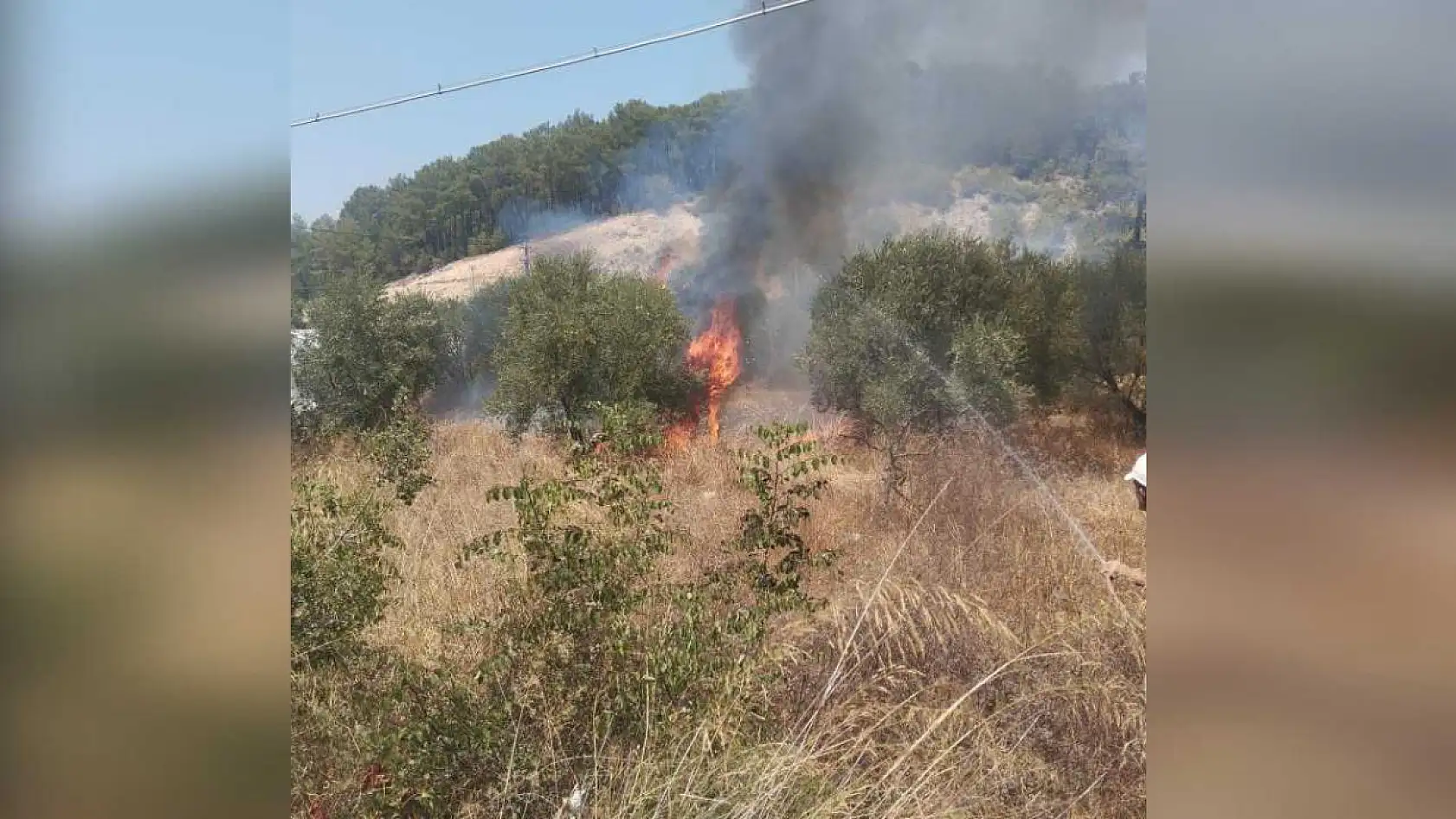 Antalya Kumluca'da Zeytin Bahçesi Kül Oldu