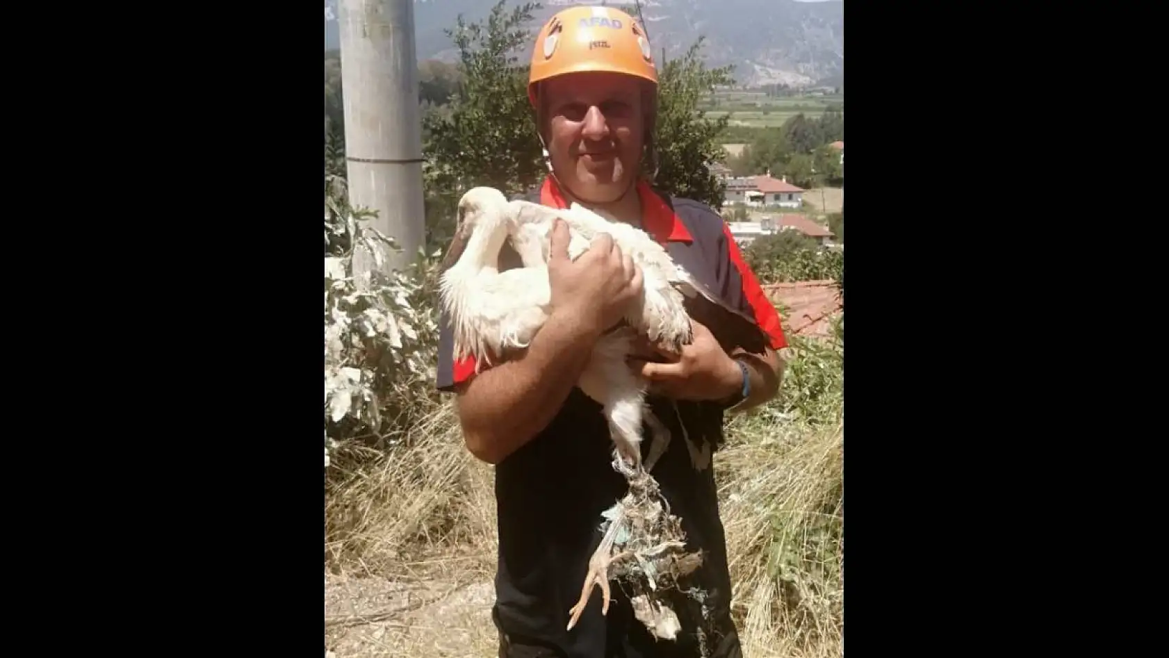 Muğla'da ayağı kırılan leylek tedaviye alındı