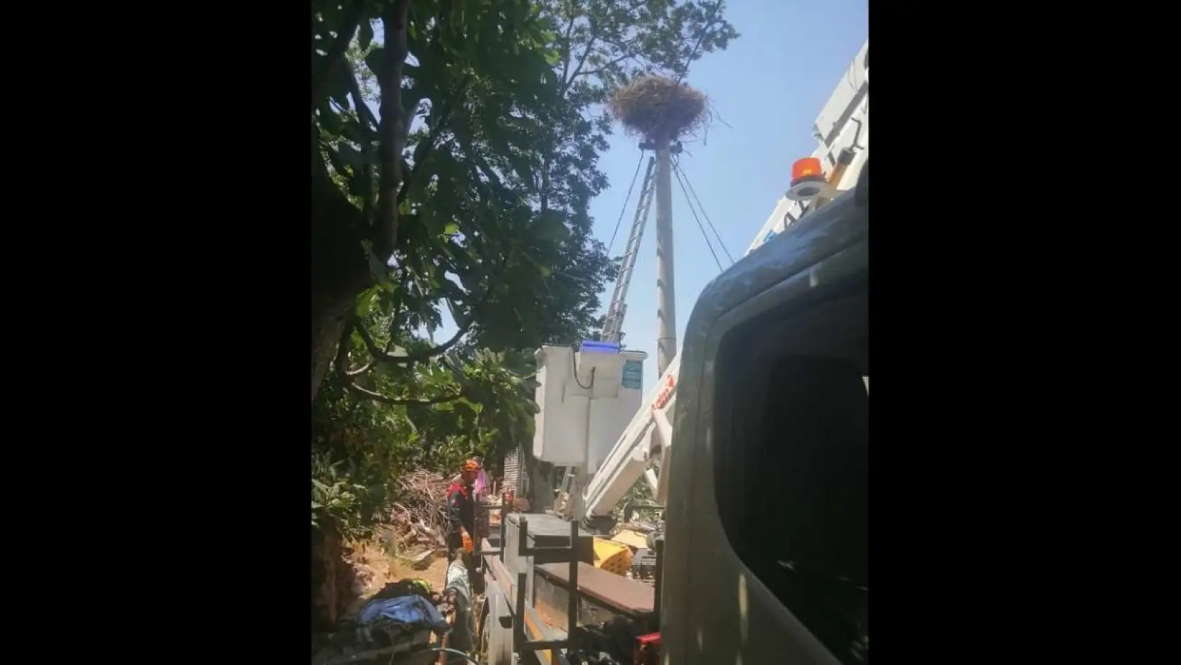 Muğla'da ayağı kırılan leylek tedaviye alındı